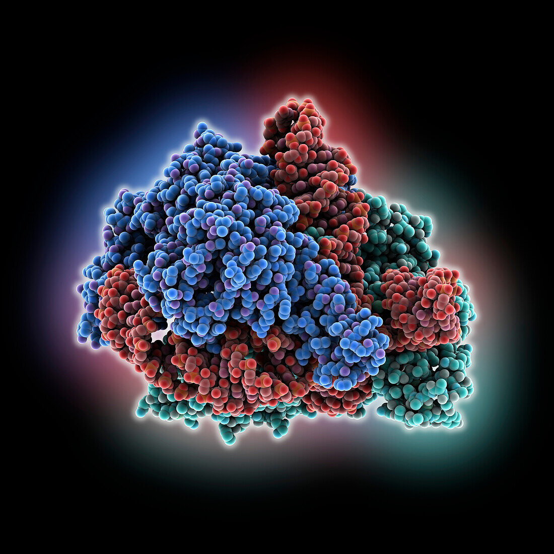 CRISPR-Cas12f binary complex, illustration