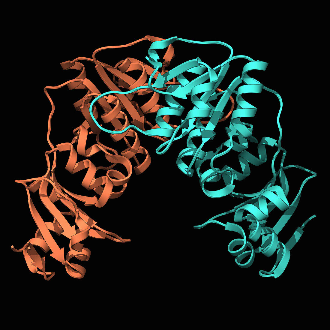 RNA methyltransferase ysgA, illustration