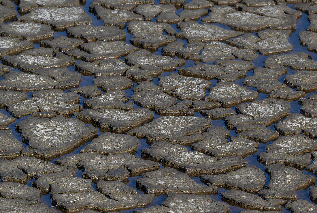 Cracking mud in drying coastal lagoon