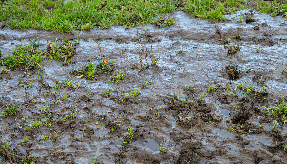 Slurry run off