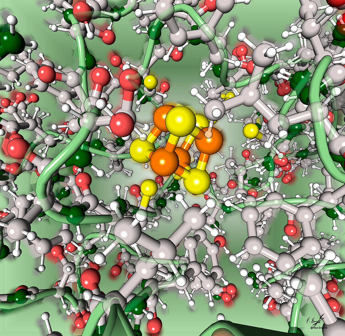 High potential iron-sulphur protein, illustration