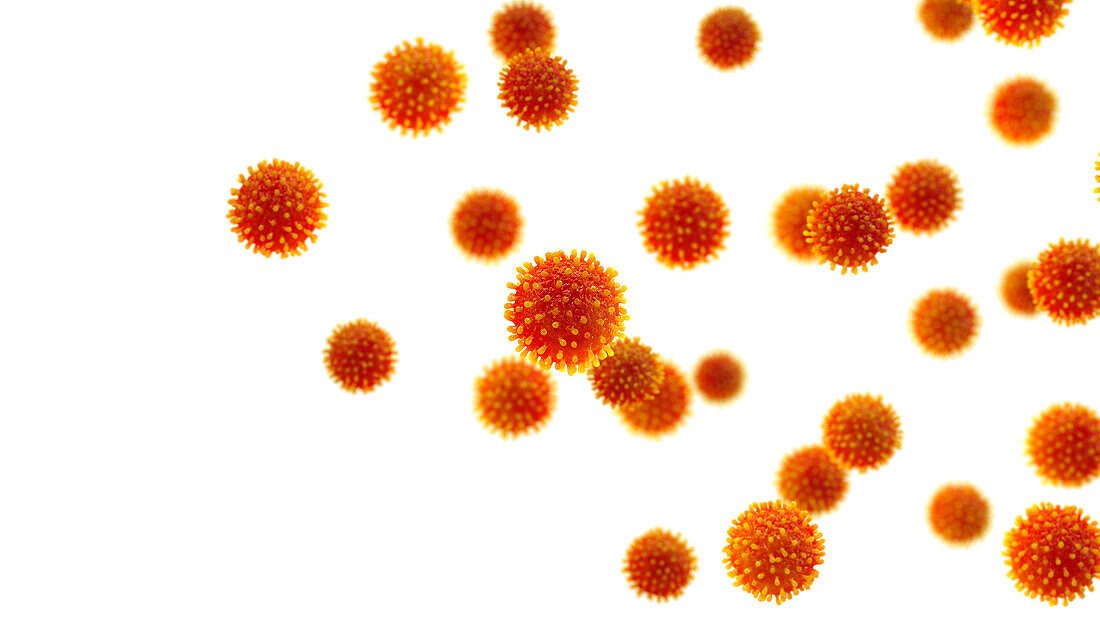Hepatitis virus particles, illustration