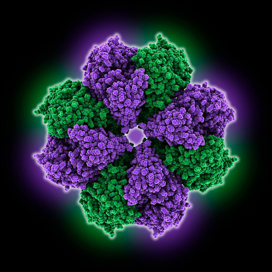 Enolase from Streptococcus pyogenes, illustration