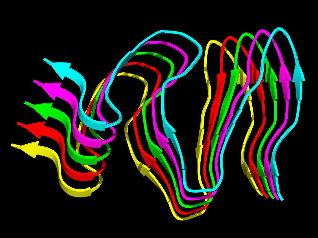 hnRNPDL amyloid fibrils, illustration