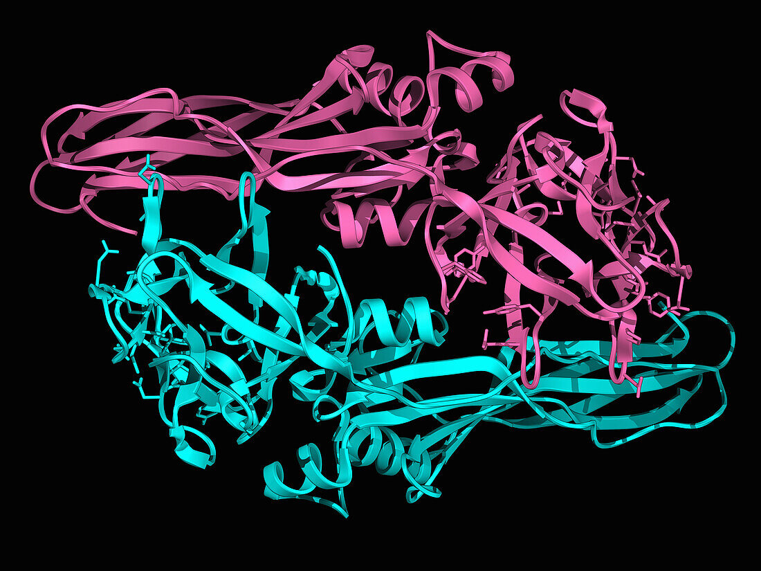 Bacillus thuringiensis toxin Tpp80Aa1, illustration