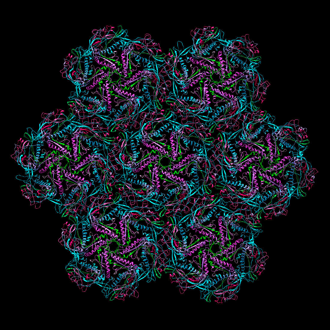 Jumbo phage empty capsid hexamers, illustration