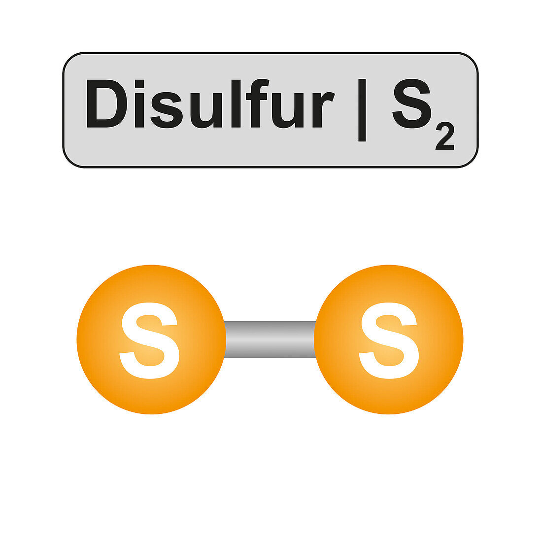 Disulphur molecule, illustration