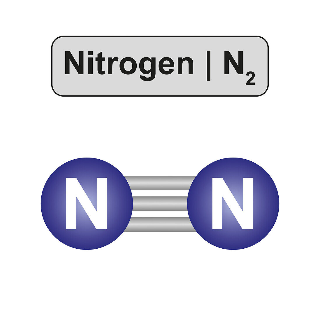 Nitrogen molecule, illustration