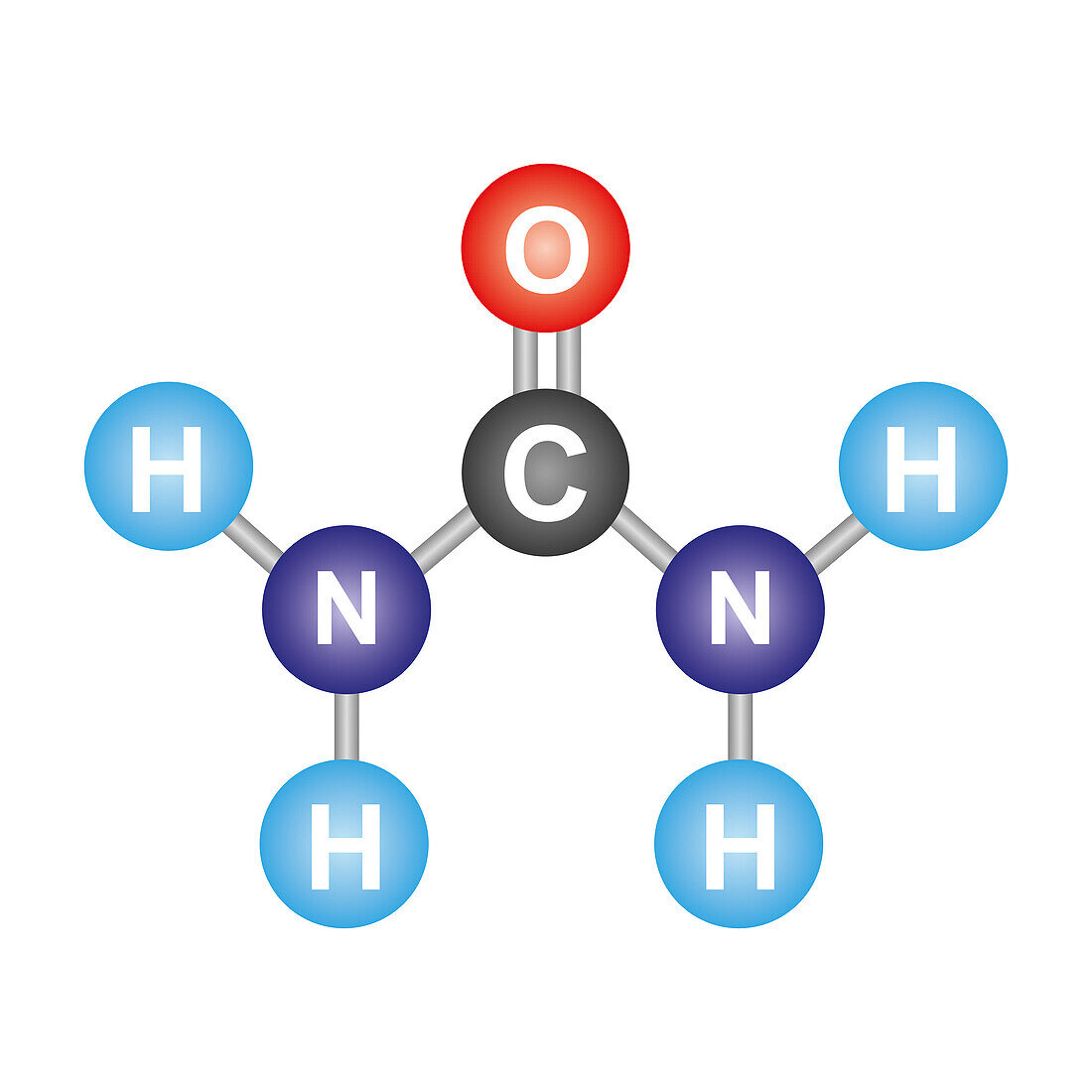 Urea molecule, illustration
