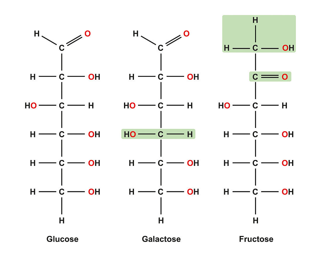 Monosaccharides, illustration