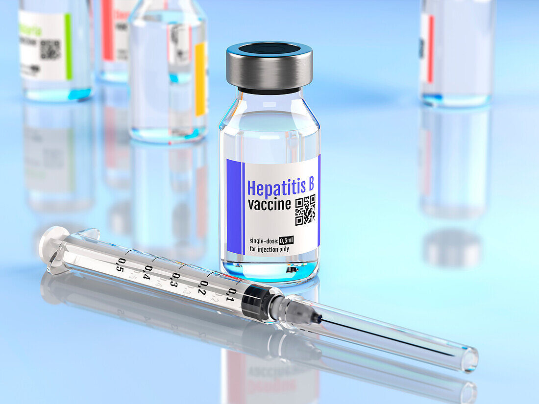 Hepatitis B vaccine, illustration