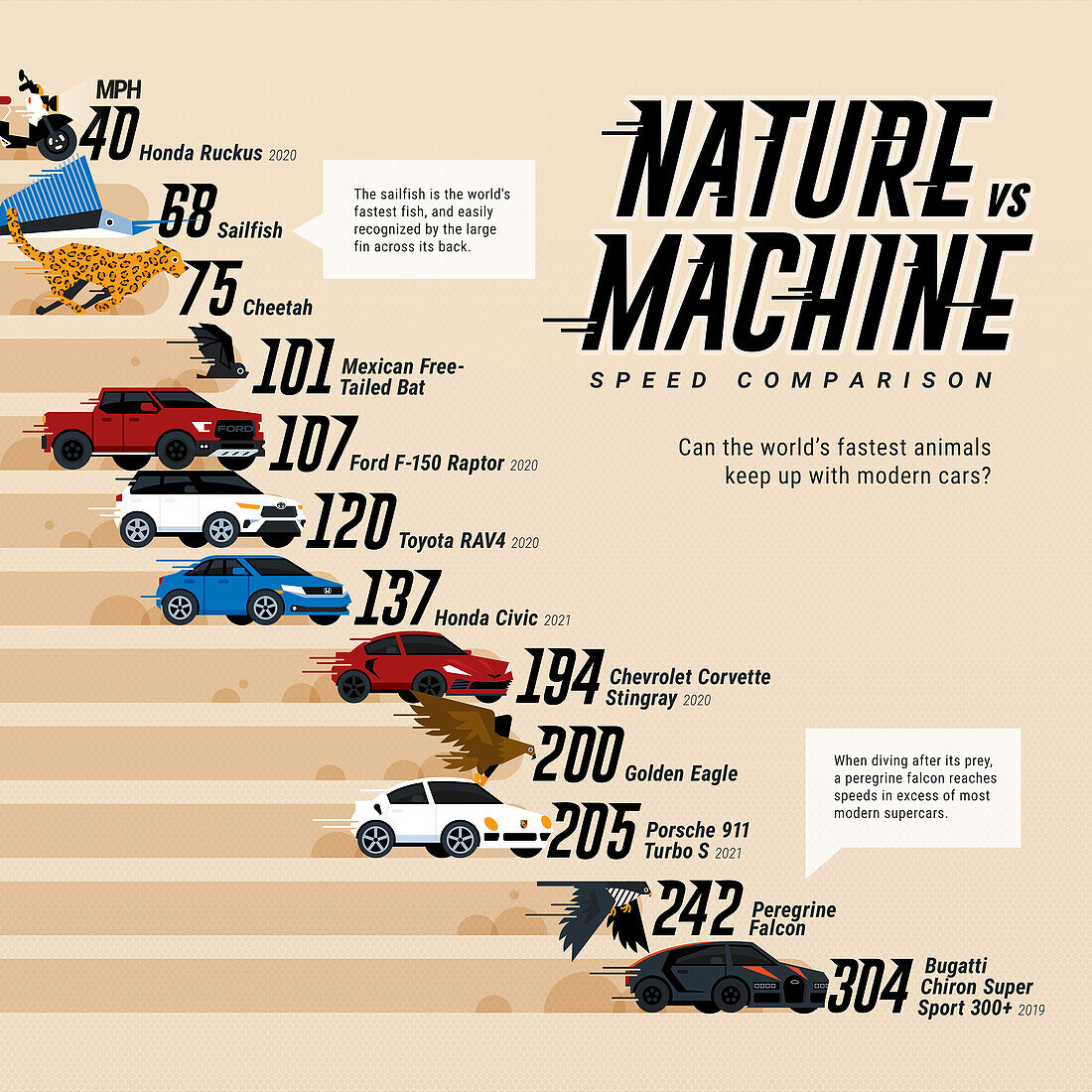 Animal speed vs cars, infographic chart
