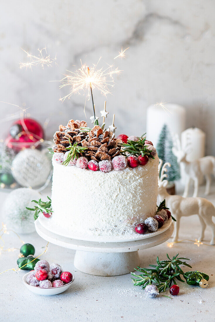 Cranberry and coconut cake with sparkler