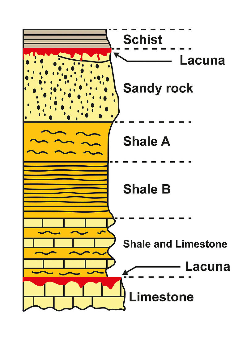 Stratigraphic column, illustration