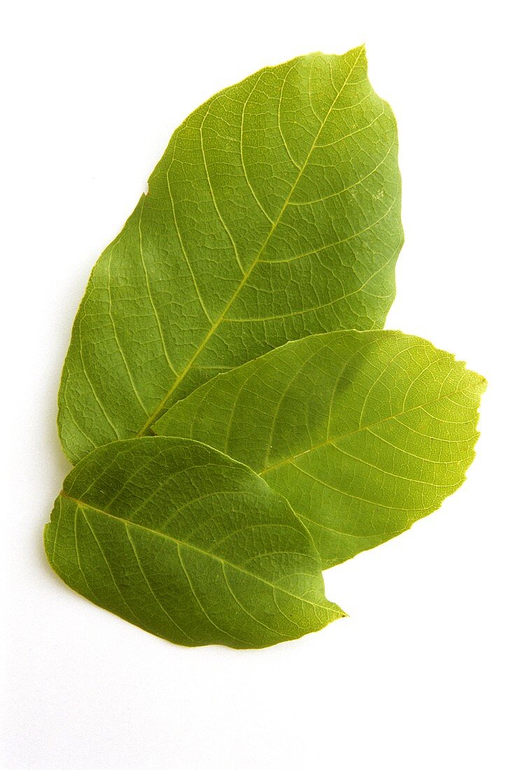 Four walnut leaves (natural remedy)
