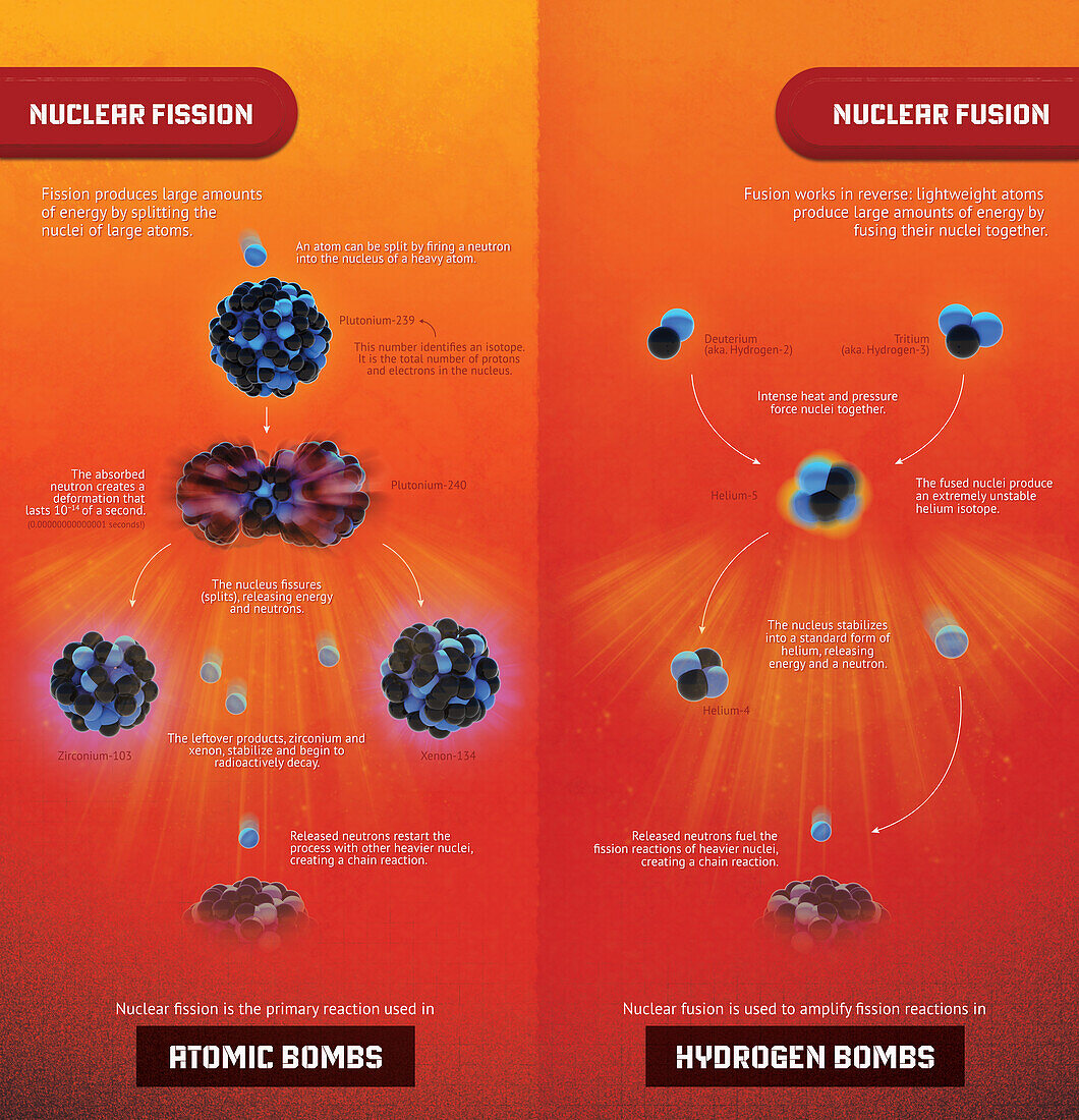 Nuclear fission vs fusion, illustration
