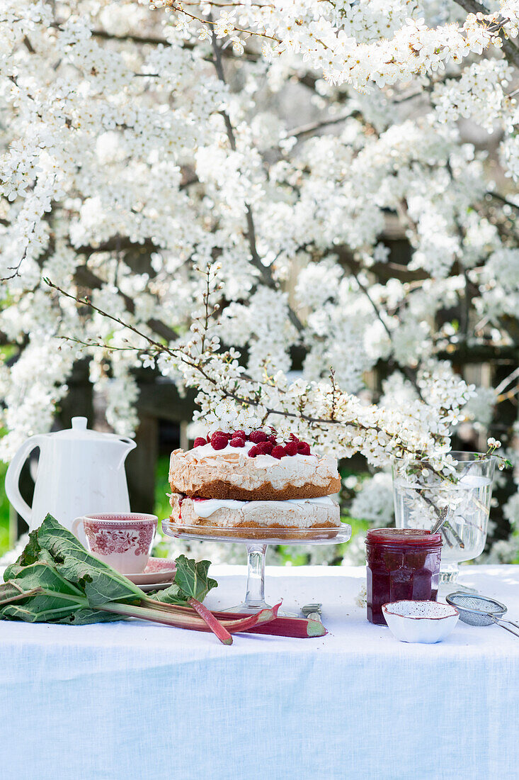 Rhabarber-Himbeer-Torte