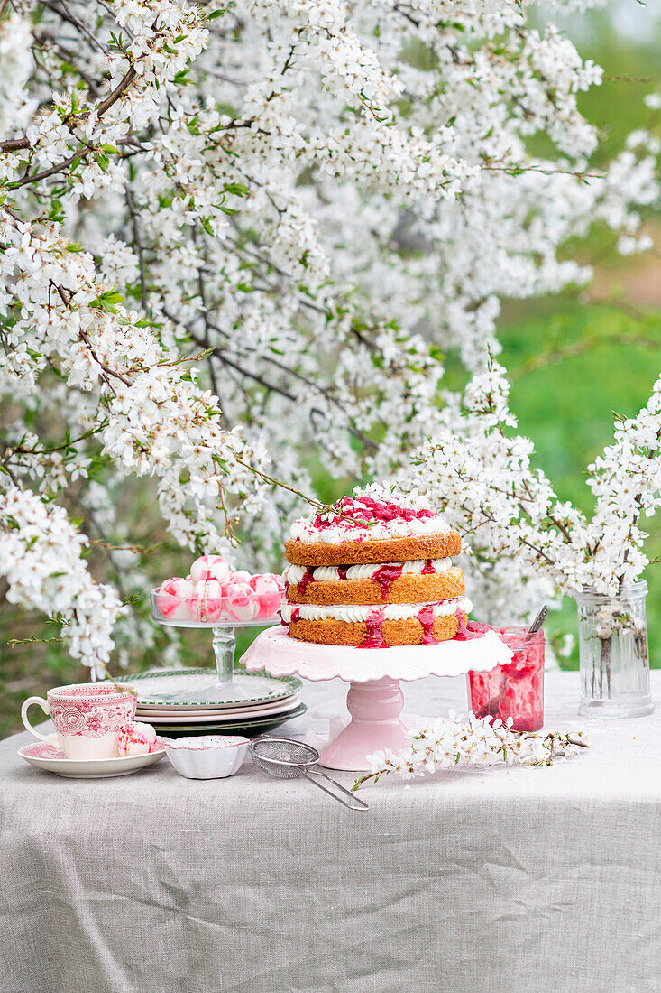 Naked cake with rhubarb