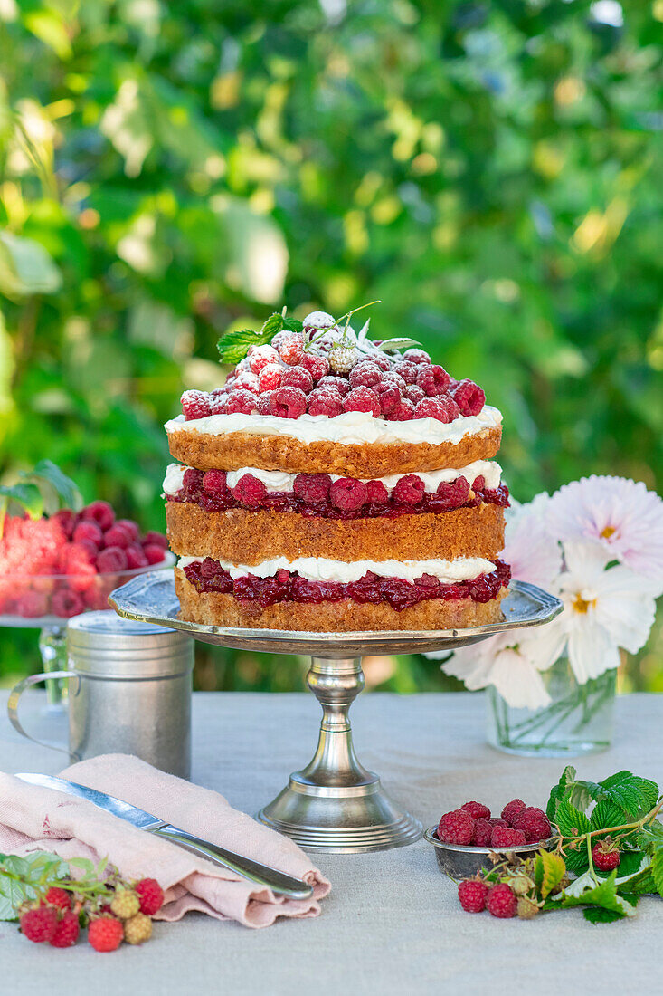 Naked raspberry cake