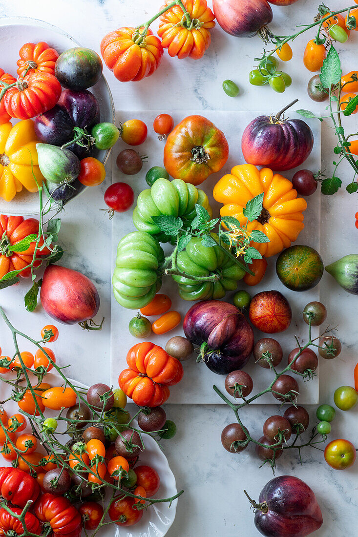 Bunte Tomatenvielfalt