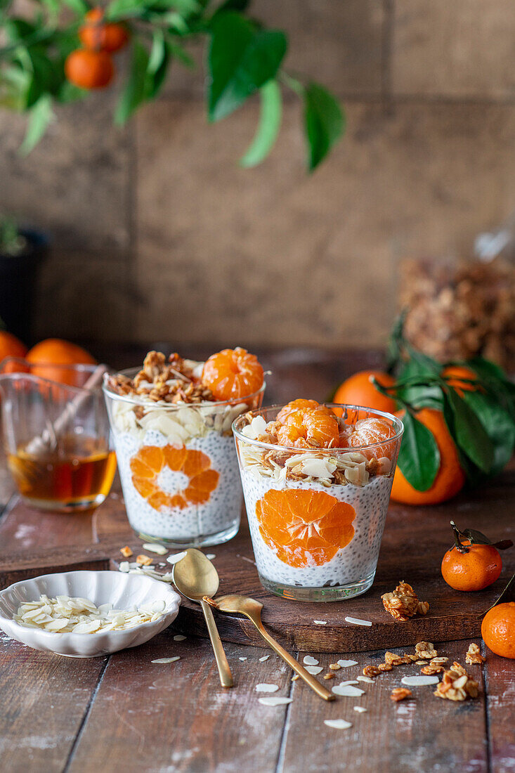 Mandarinen-Chiapudding