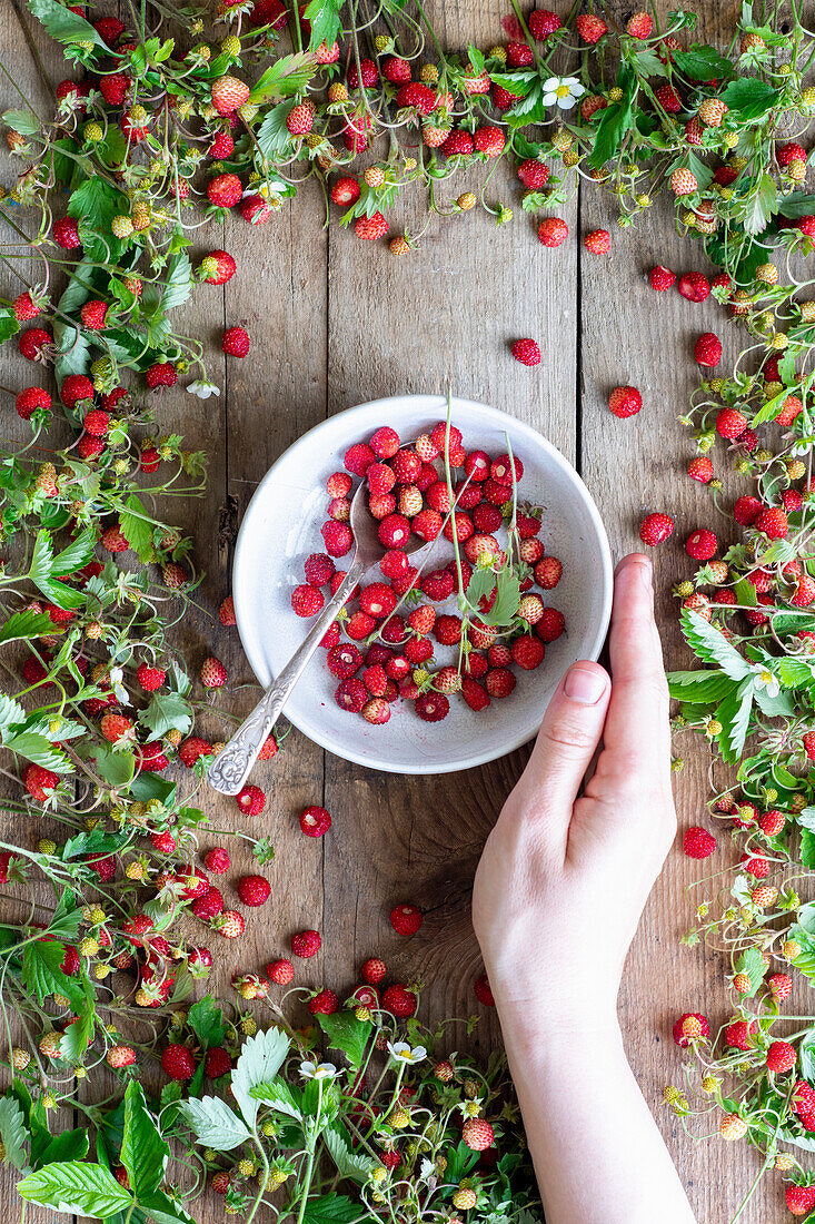 Fresh wild strawberries in a frame of berries, flowers and leaves
