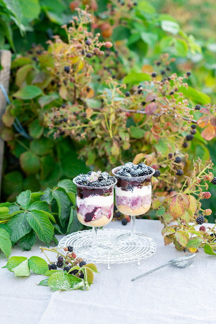 Blackberry trifle