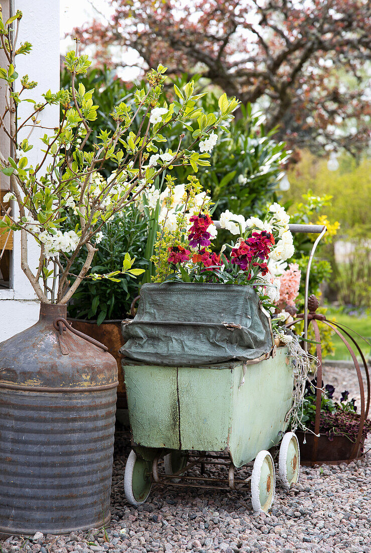 Alter Zinkkanister mit ausgetriebenem Zweig und Traubenhyazinthen (Muscari) und Frühlingsblumen in Vintage Kinderwagen