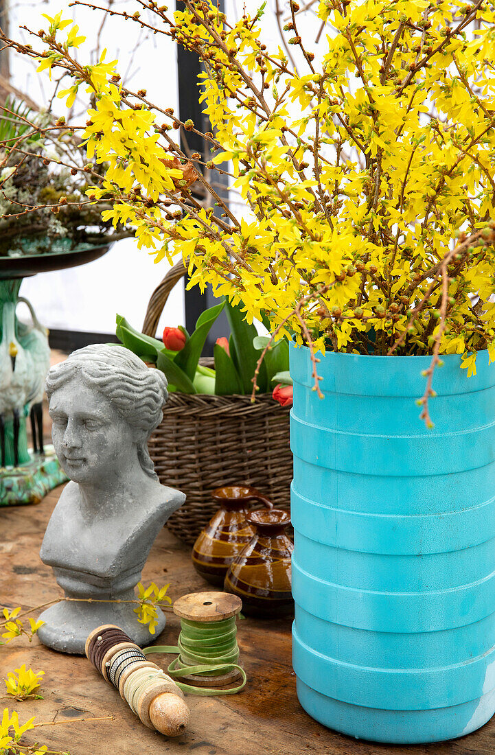 Forsythienzweige (Forsythia) in blauer Vase und Büste, Terrassendeko