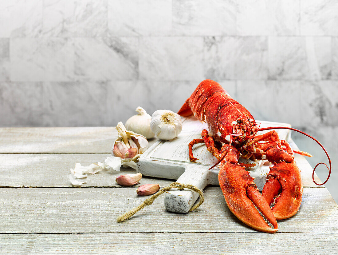 Still life with boiled lobster and garlic