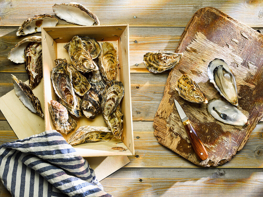 Fresh oysters on wooden board and in wooden box