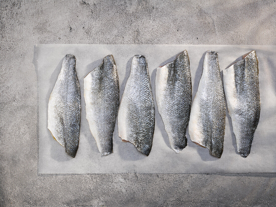 Fresh sea bass fillets on paper