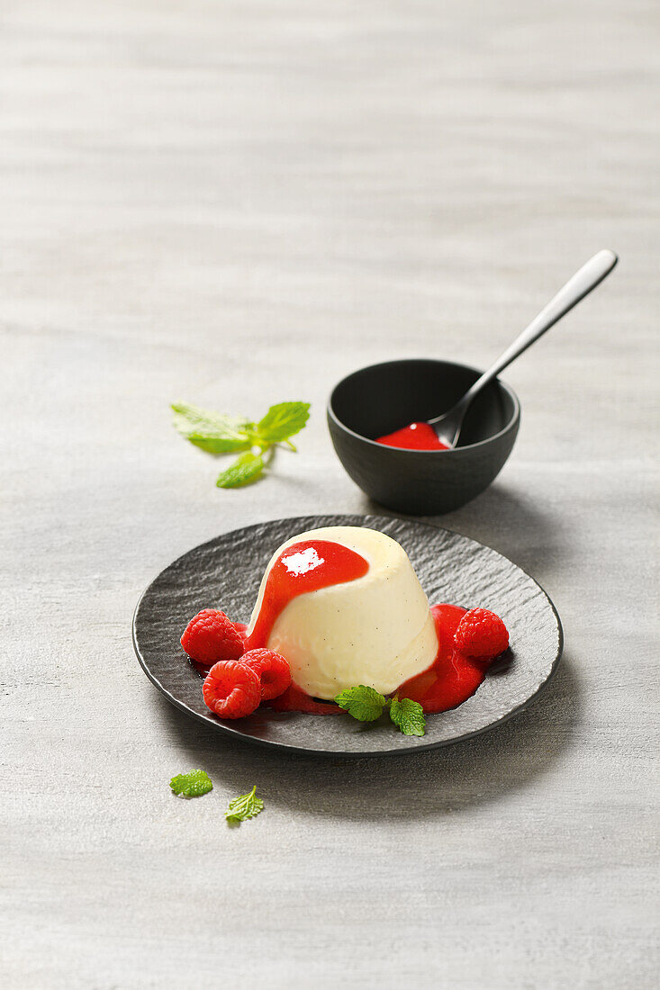 Panna cotta ice cream with raspberry sauce