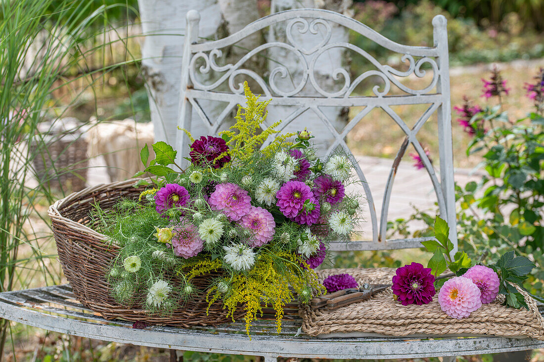 Dahlias, goldenrod and damsel in the green as cut flowers in wicker basket