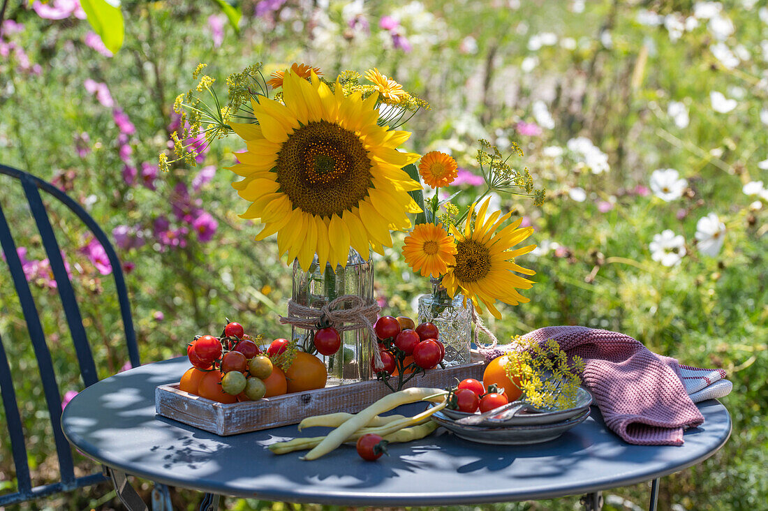 Freshly harvested tomatoes and sunflower blossoms in glass vases on garden table