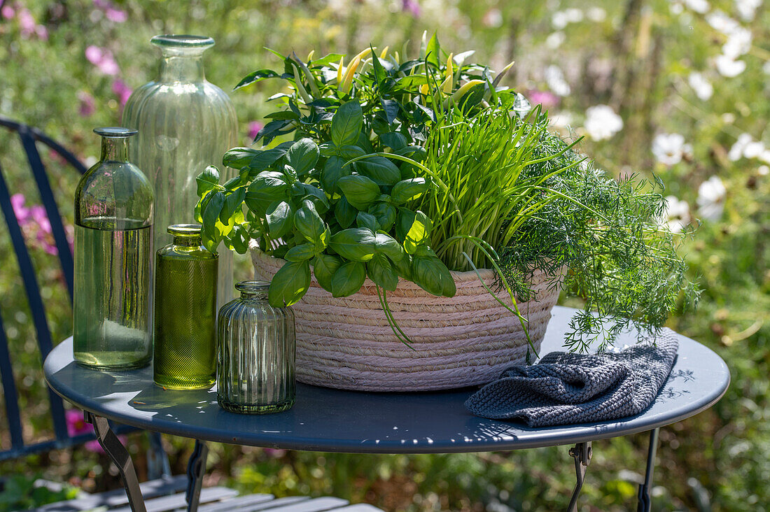 Various kitchen herbs in planters on patio table
