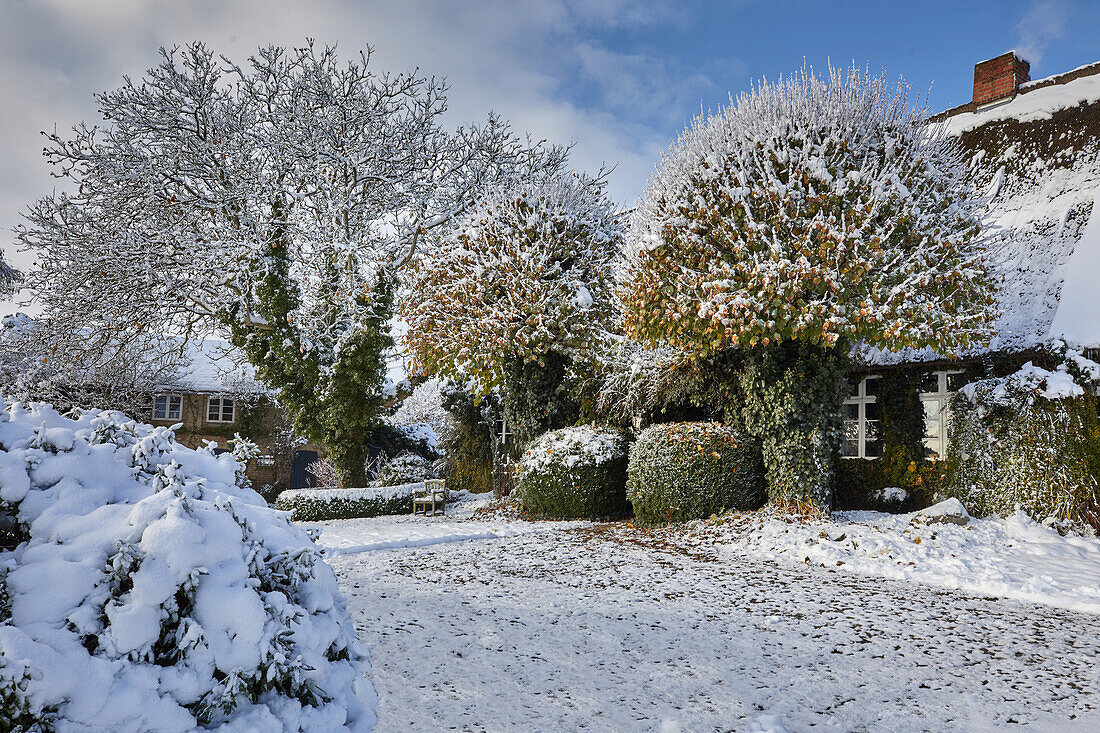 Winter with lots of snow in the front yard of a farmhouse, Germany