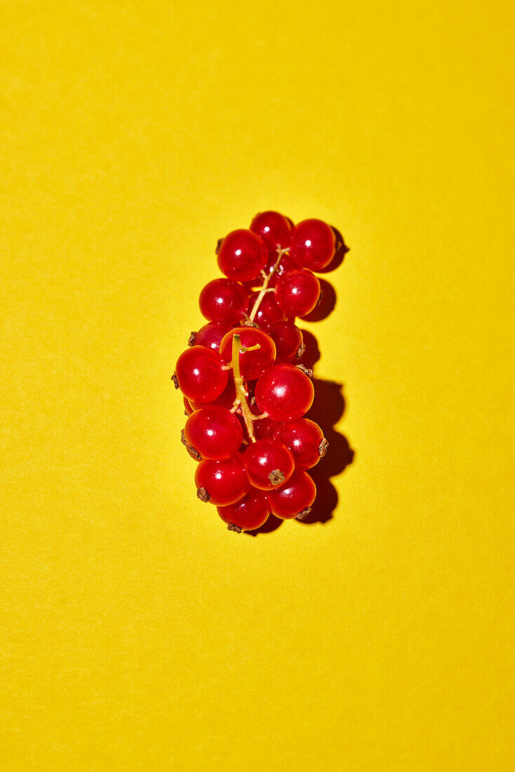 Red currants on a yellow background