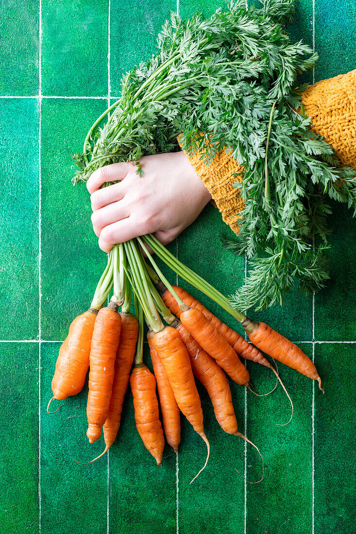 A bunch of carrots