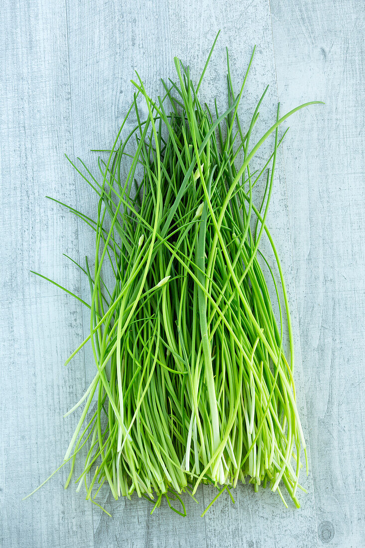 Fresh chives on a grey background