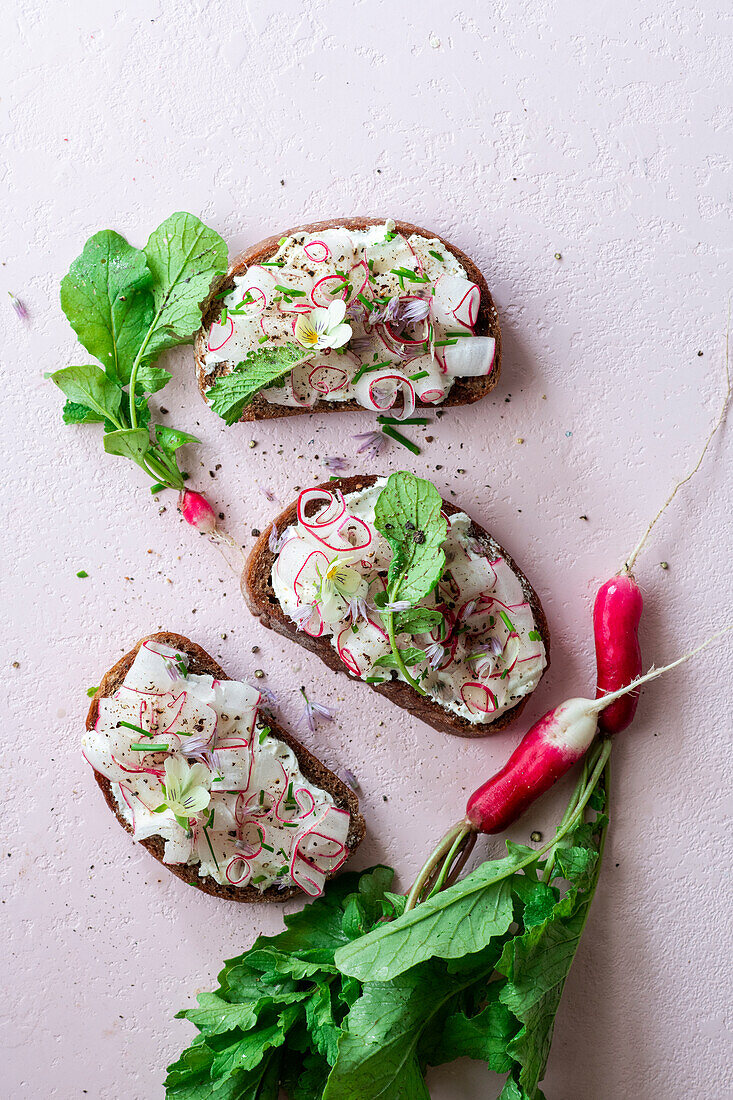 Sandwiches with cream cheese and radishes