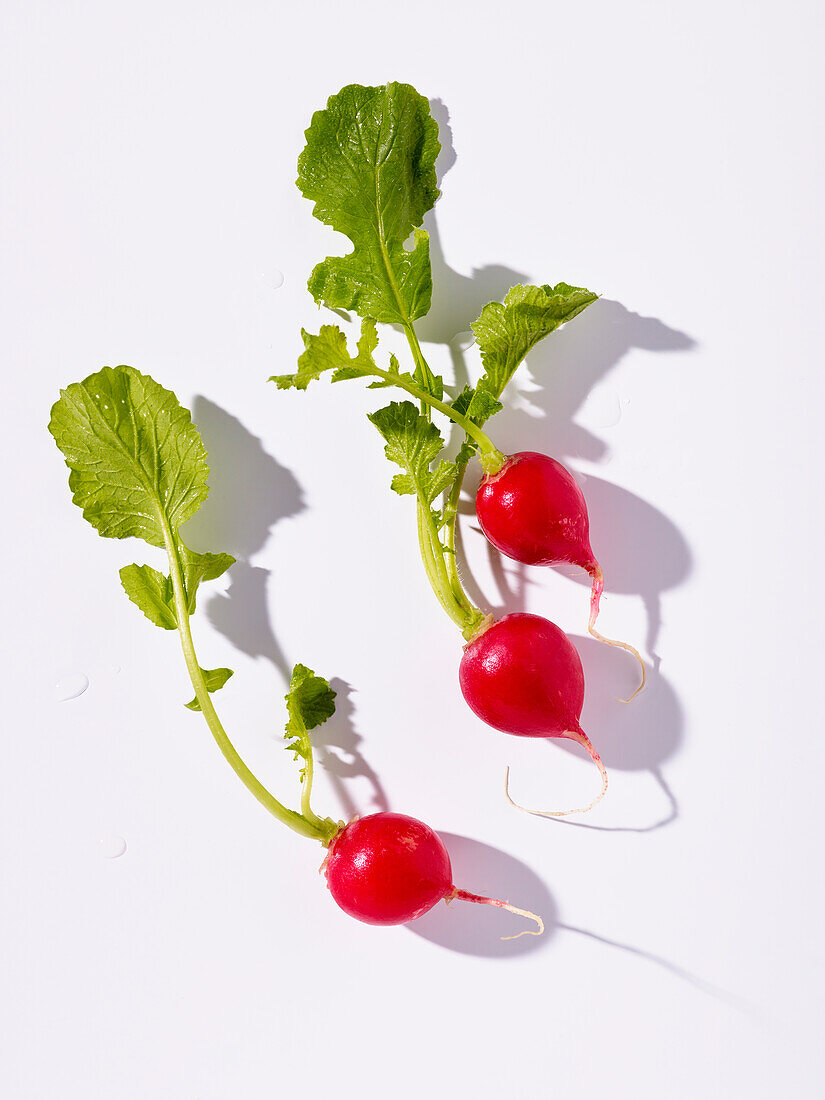 Fresh radishes