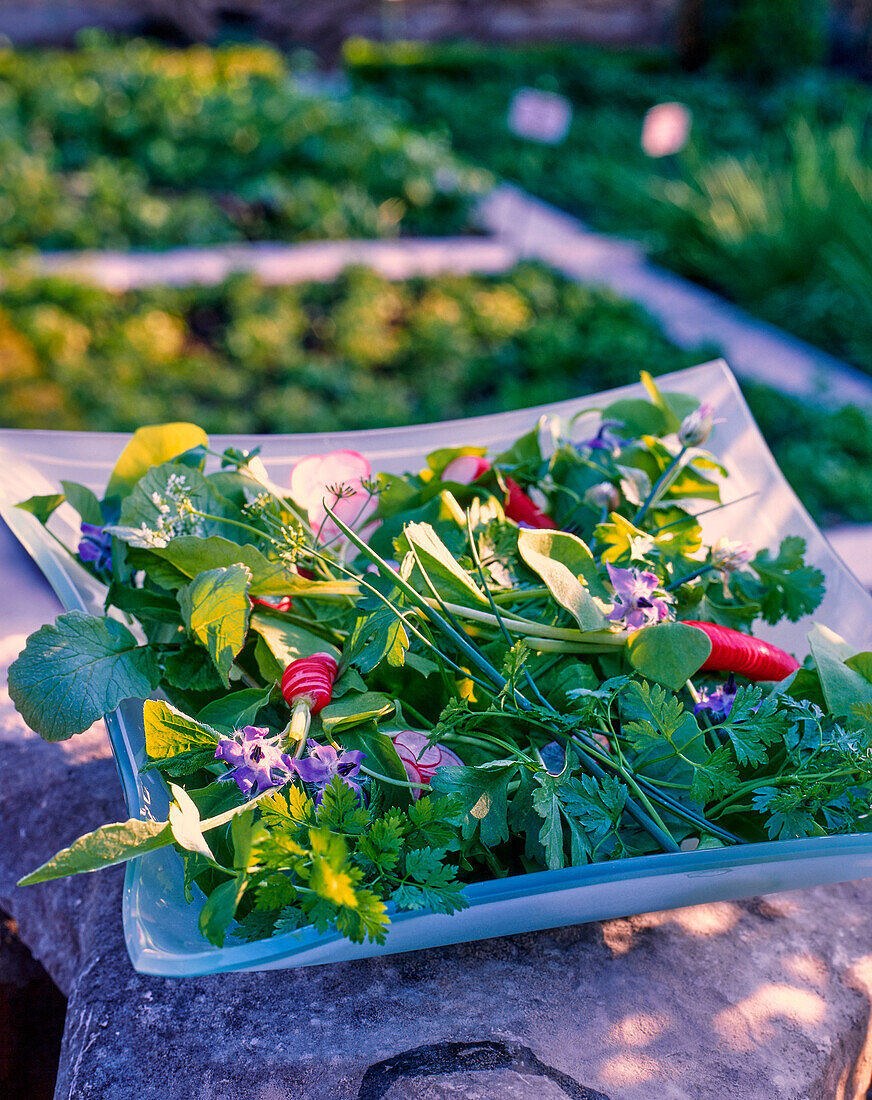 Herb salad