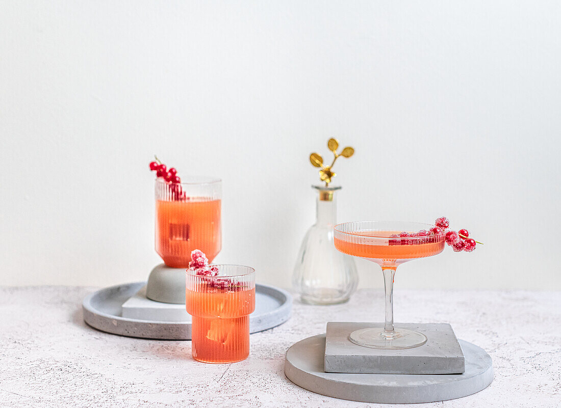 Grapefruit-Gin-Cocktail mit gezuckerten roten Johannisbeeren