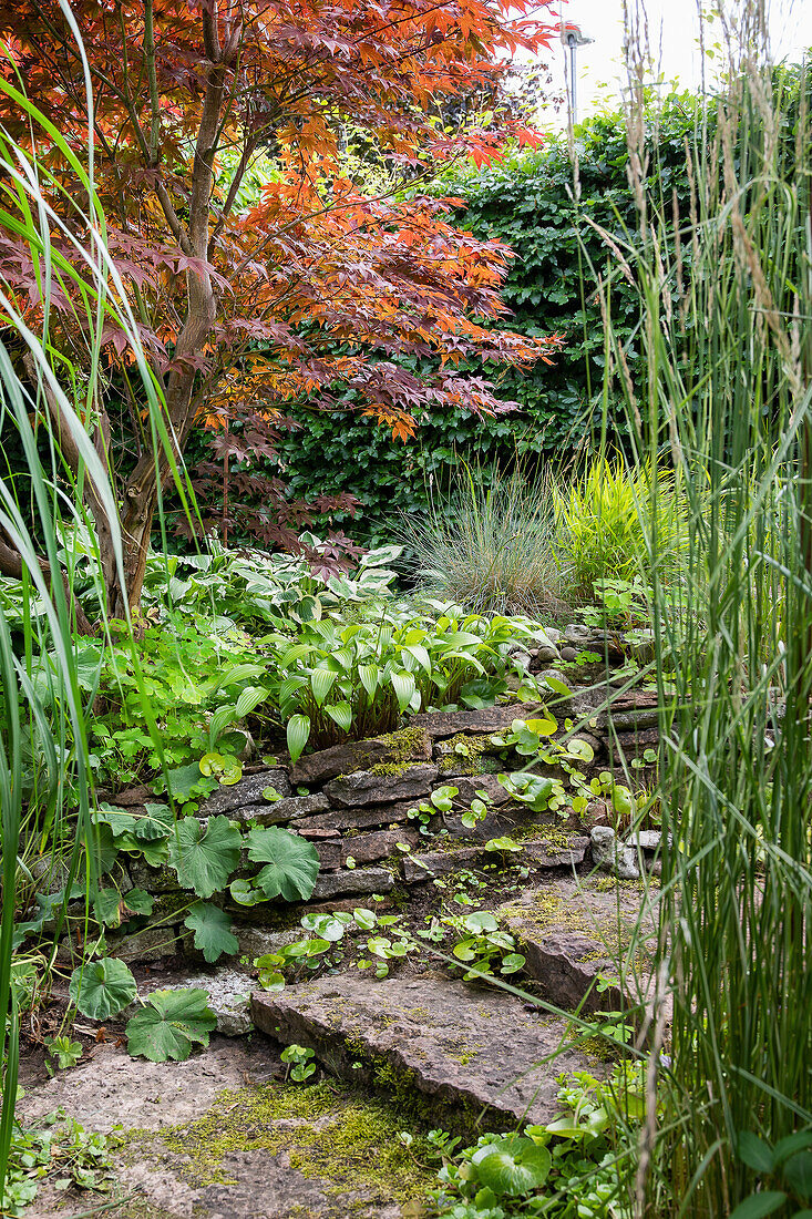 Gartenweg mit Stufen aus Steinplatten