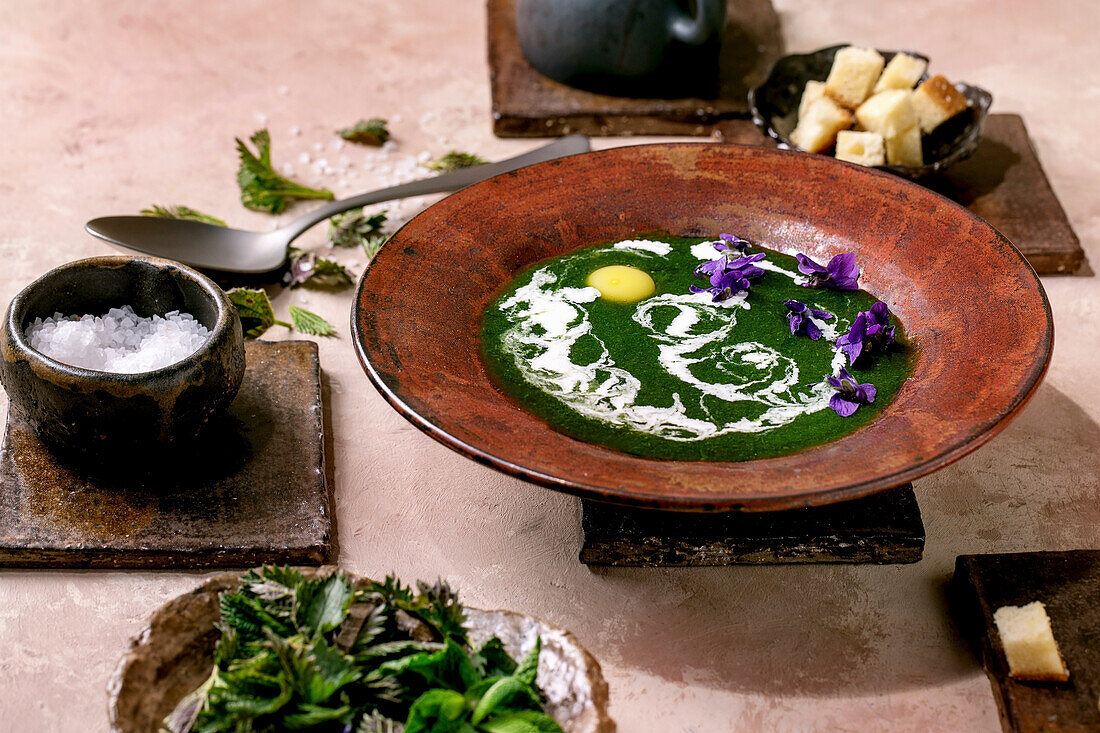 Plate of spring herbal nettle puree soup, served with quail yolk, violettes flowers, cream, croutons and young nettle leaves