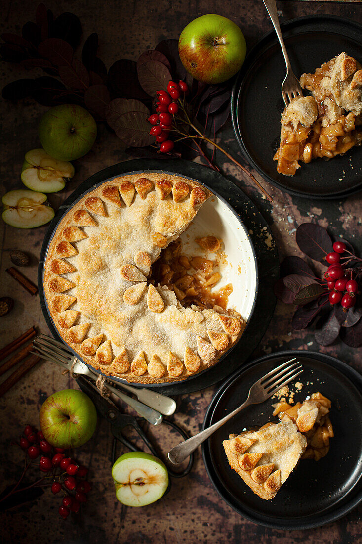 Vegan pie with cinnamon apples