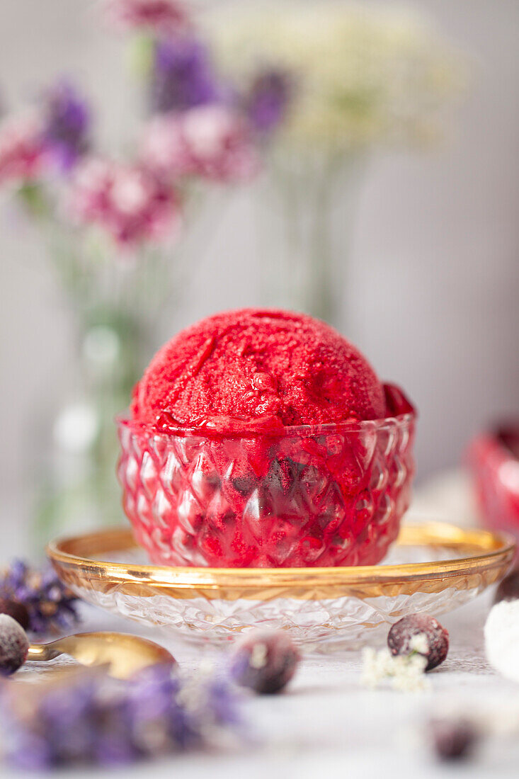 A single scoop of blackcurrant sorbet