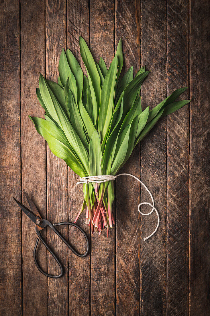 A bunch of wild garlic