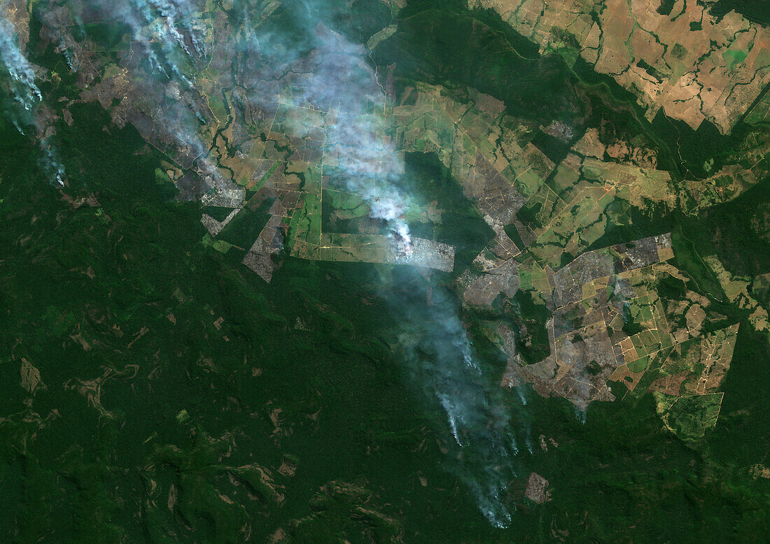 Fires in Amazonian Rainforest, Brazil, satellite image
